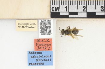 Media type: image;   Entomology 774027 Aspect: Labels